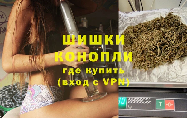 spice Белокуриха